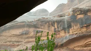 Moab Flash Flood #Escape From Moonflower Canyon!