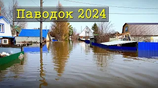 Паводок в городе Курган 2024  / СНТ Дружба КЗКТ взгляд изнутри / река Тобол