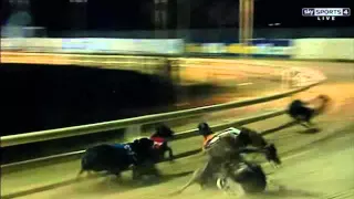 Calzaghe Peppe destroyed at Newcastle greyhound stadium