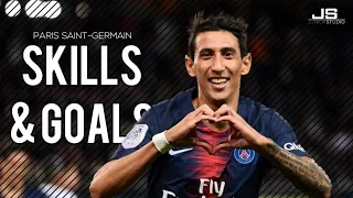 Angel Di Maria - PSG ● Goals & Skills ● 2015/2016 | HD