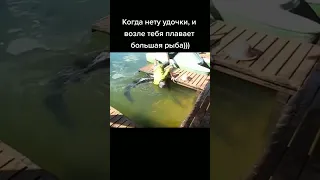 когда забыл удочку дома 😄