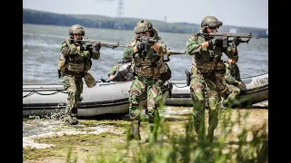 Fuzileiros e DAE em missão na Lituânia