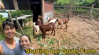 Starting our Goat Range Farm