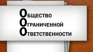 (101)  Может ли единственный учредитель ООО (физическое лицо) платить сам себе зарплату