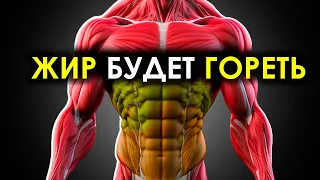 ТОП 13 Продуктов, Которые ГАРАНТИРУЮТ Сжигание Жира