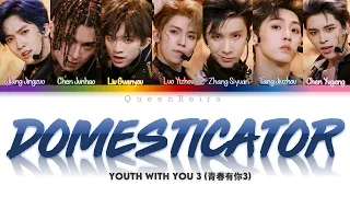 [PINYIN/文字/ENG] Youth With You 3 (青春有你3) - Domesticator LYRICS