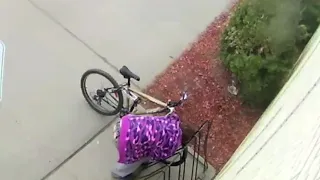 Theft Of A Bicycle From A Station Mall Shopper