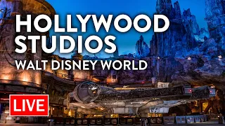 🔴 LIVE: An Evening at Disney's Hollywood Studios | Walt Disney World Live Stream