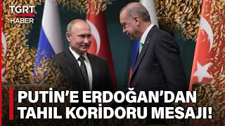 Cumhurbaşkanı Erdoğan'dan Putin'e Kritik 'Tahıl Koridoru' Telefonu - TGRT Haber