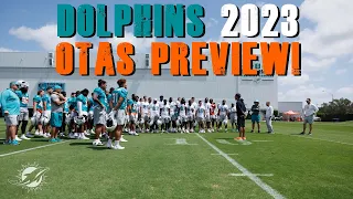 Miami Dolphins 2023 OTAs Preview!