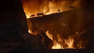 The Lion King (2019) - Last Fight Between Scar and Simba (Final Scene)