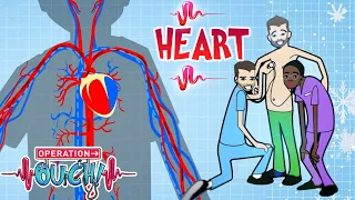 How Your HEART Really Works ❤️ #ValentinesDay | Compilation | Science for Kids | @OperationOuch