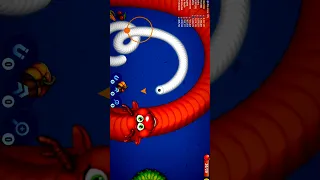 🐍WormsZone.io ❤001 Slither Snake Top01 /Best World Record Snake Epic cacing WormsZoneio #255 #shorts