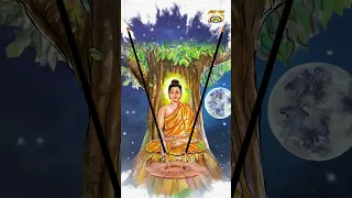 Buddha Purnima 2023