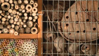 The Garden Gurus - Building a Bug Hotel