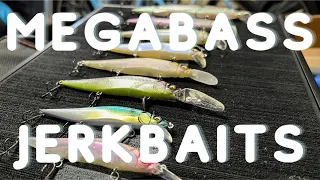Watch this BEFORE you buy a Megabass jerkbait