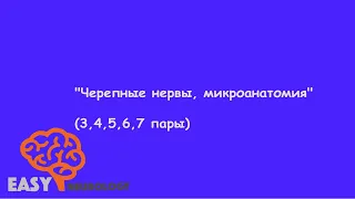 Нейрохирургический цикл. "Черепные нервы, микроанатомия" (3, 4, 5, 6,  7 пара)