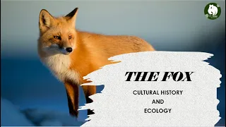 The Fox - An Ecological and Cultural History