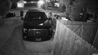 Home surveillance camera catches thief stealing gun from truck