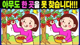 【다른그림찾기/치매예방】아무도 한 곳을 못 찾습니다!【틀린그림찾기/두뇌운동/숨은그림찾기/Find the Difference/치매예방퀴즈】1009