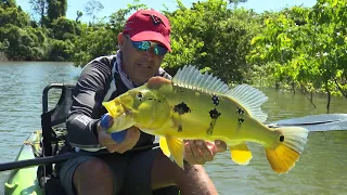 COMO PESCAR DE MOLINETE USANDO JIG PARA TUCUNARÉS DE CAIAQUE