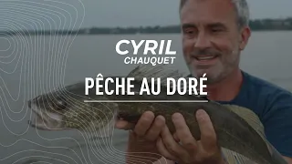 Les techniques de pêche de Cyril Chauquet | La pêche au doré