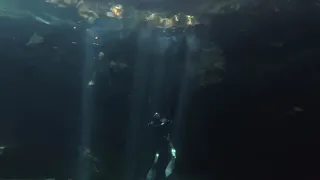 Earth and Water | Rock Climbing "El Pit" Cenote - Freediving