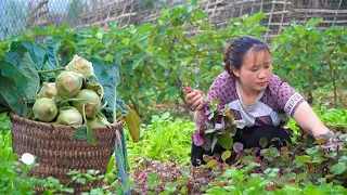 The process of harvesting agricultural products to sell to the market,Cooking daily work on the farm