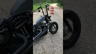 Wrapped Forty Eight ( Sportster )