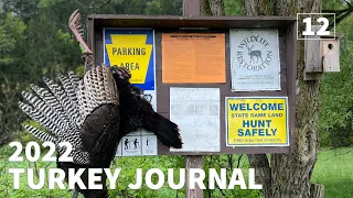 EMOTIONAL Hunt for a PA PUBLIC LAND GOBBLER Turkey Hunting | BOWHUNTING Public LAND GOBBLERS