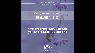 13 апреля (от Иоанна 11-12) | План чтения Библии за год