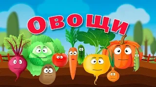 Малышам об овощах. Учим овощи.