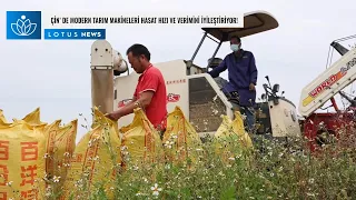 ÇİN’ DE MODERN TARIM MAKİNELERİ HASAT HIZI VE VERİMİNİ İYİLEŞTİRİYOR!