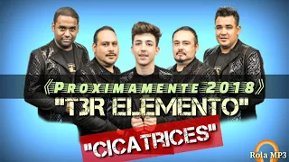 T3r elemento (cicatrices) proximamente 2018