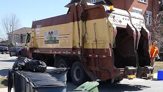 GARBAGE Truck; Freightliner RECYCLING Stacked Townhouses