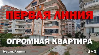 ПЕРВАЯ ЛИНИЯ БОЛЬШАЯ квартира в Алании под ключ Недвижимость в Турции на берегу