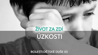 BOLESTI DĚTSKÉ DUŠE 3: ÚZKOSTI