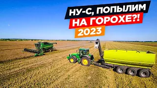 Роторные John Deere зашли на уборку гороха, а трактор К-742МПр сразу дискует за ними.