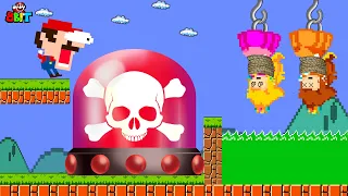 What if Mario want rescue Princess Peach & Daisy in New Super Mario Bros. Wii?? | Game Animation