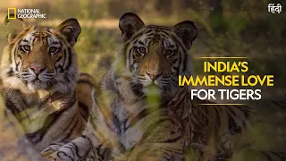 India’s Immense Love for Tigers | Counting Tigers | Full Episode | National Geographic