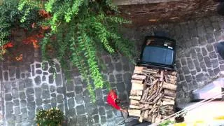 Wood For The Winter Arrives On Ape In Barga