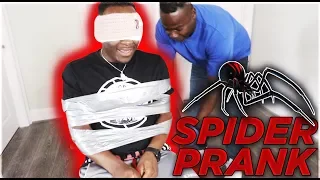 EXTREME SPIDER PRANK | THE PRINCE FAMILY