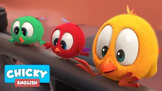 Where's Chicky? Funny Chicky 2021 | CHICKY FAMILY | COLORS 🌈 Cartoon in English for Kids