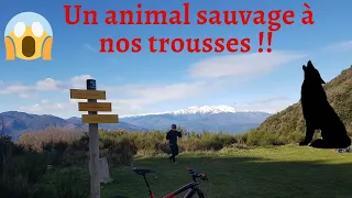 Descente partie technique ⚠️: VTT Enduro le Boulou (66)