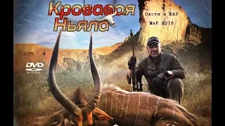 "КРОВАВАЯ НЬЯЛА" - трофейная охота в ЮАР 2016, с "RAGOZIN SAFARIS" (hunting in Africa  in May 2016)