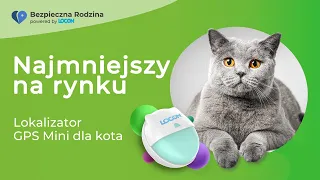 Najmniejszy na rynku - Lokalizator GPS Mini dla kota - Przedsprzedaż