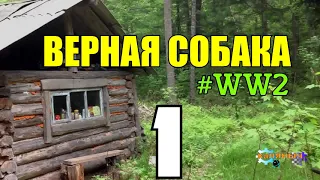 ЯРАНГ ВЕРНАЯ СОБАКА | ЭШЕЛОНЫ ИЗ БЕРЛИНА  | НАЙДЕНЫШ 1 из 5