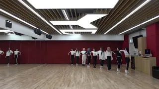 TWICE - FANCY Dance Practice (Mirrored/No Zoom)