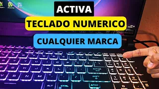 como activar el teclado numerico de mi laptop (2023)