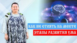 Ум | Как улучшить ум |  Пробелы развития | Арина Никитина